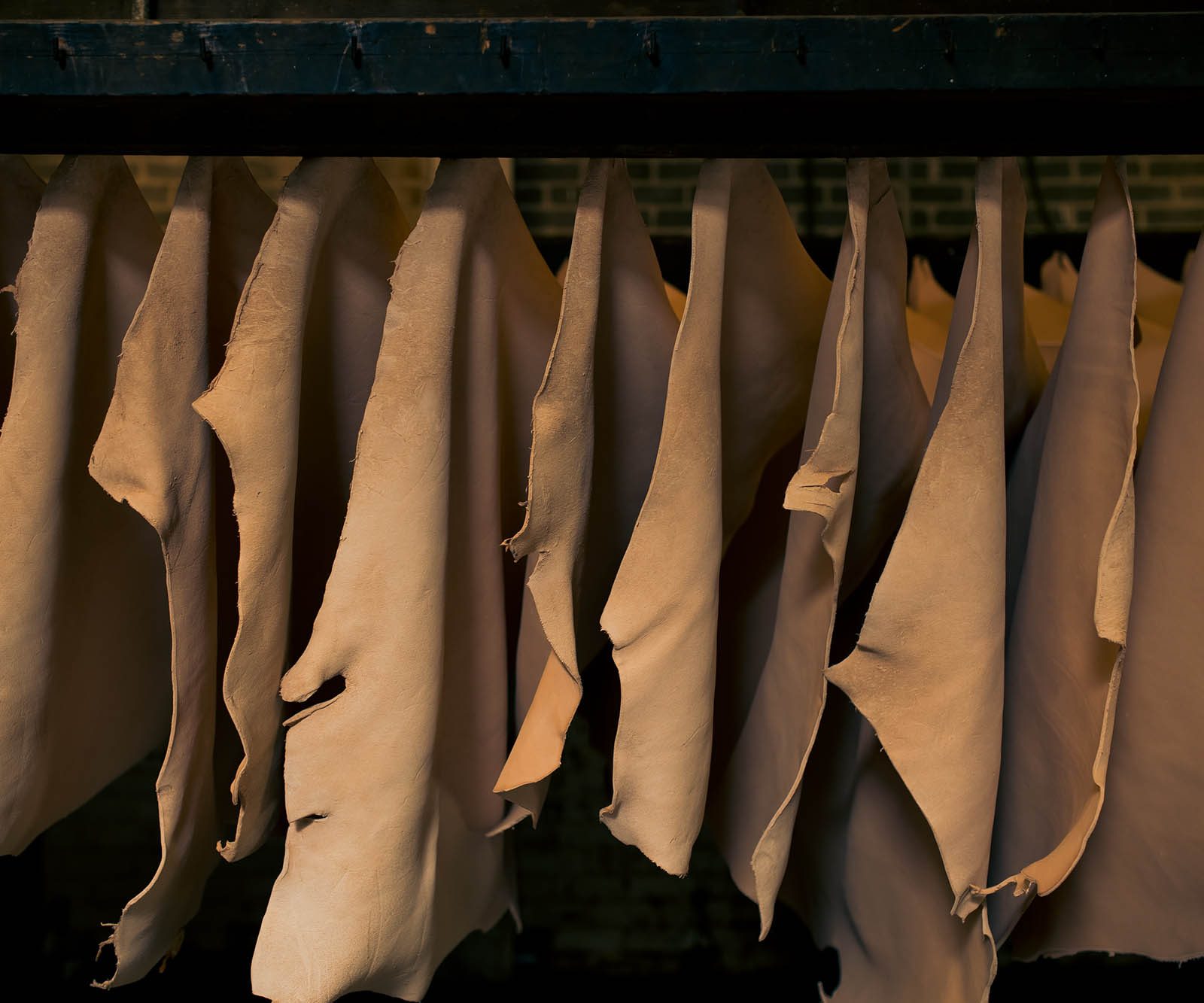 Hides hanging in a tannery