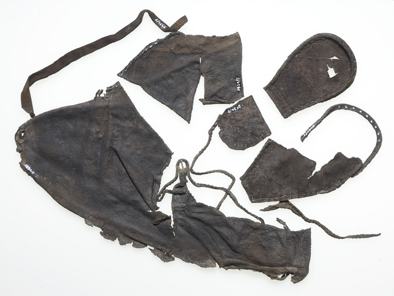 Fragments of an old leather shoe